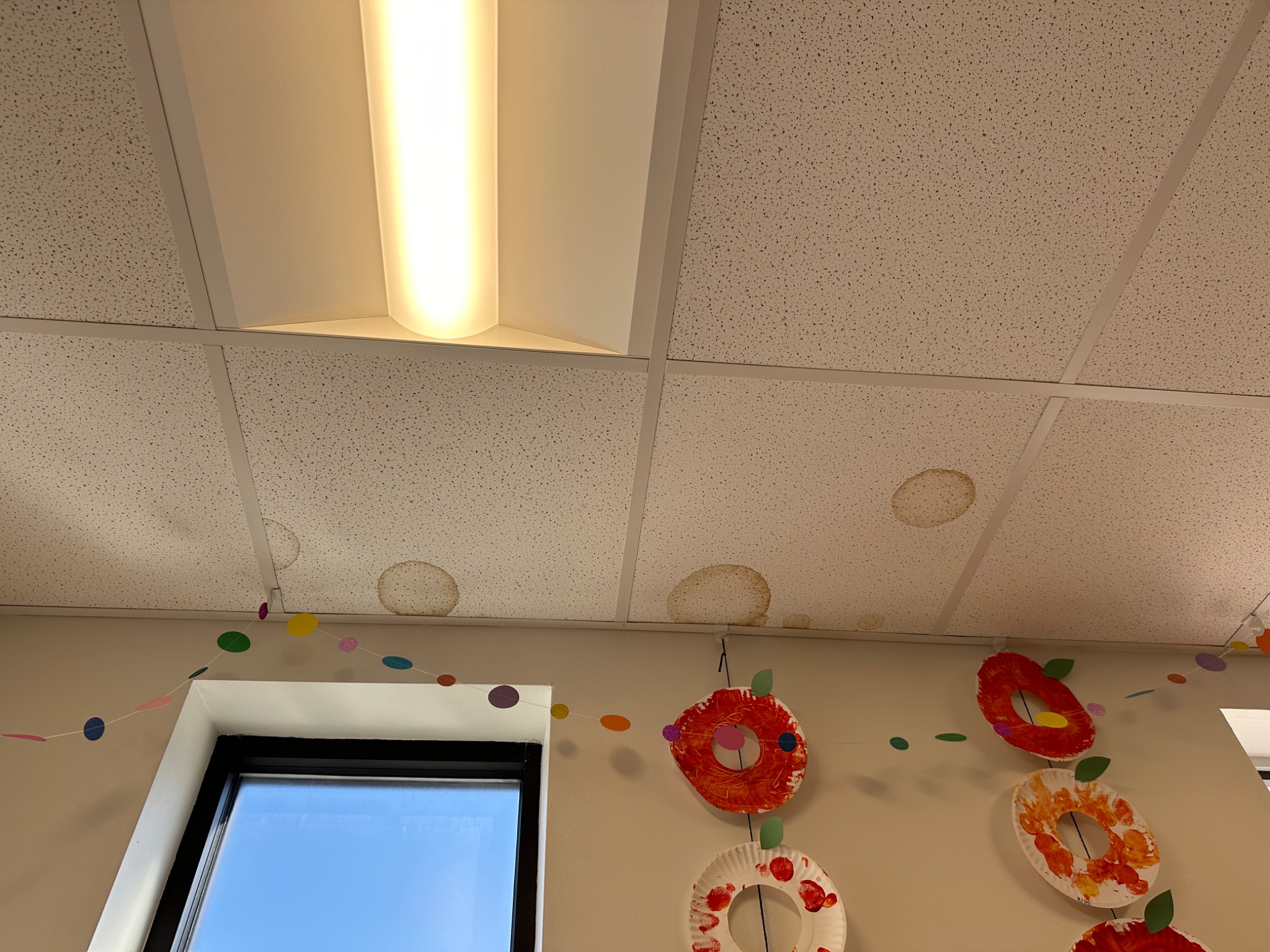 Water staining on ceiling tiles documented during a site walkthrough